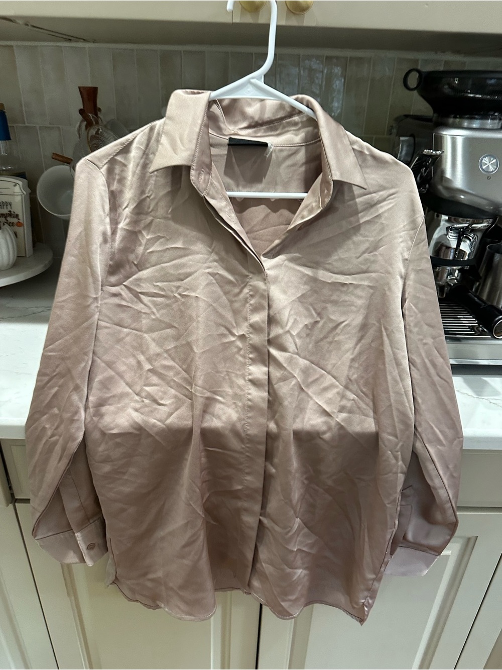 Vici Satin Button-Down Shirt in Blush Taupe
